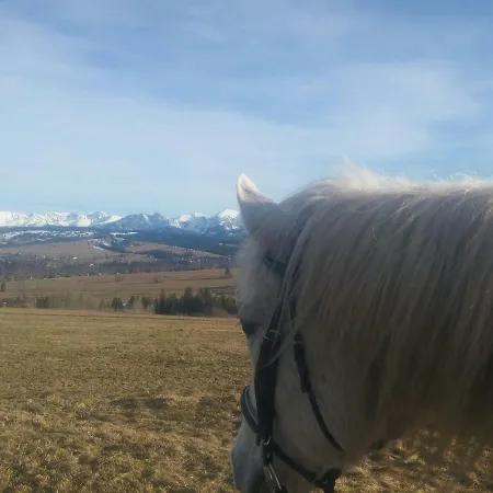 We Wsi Apartmán Chocholow