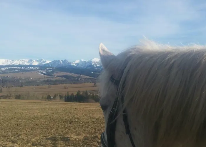 We Wsi Appartamento Chocholow